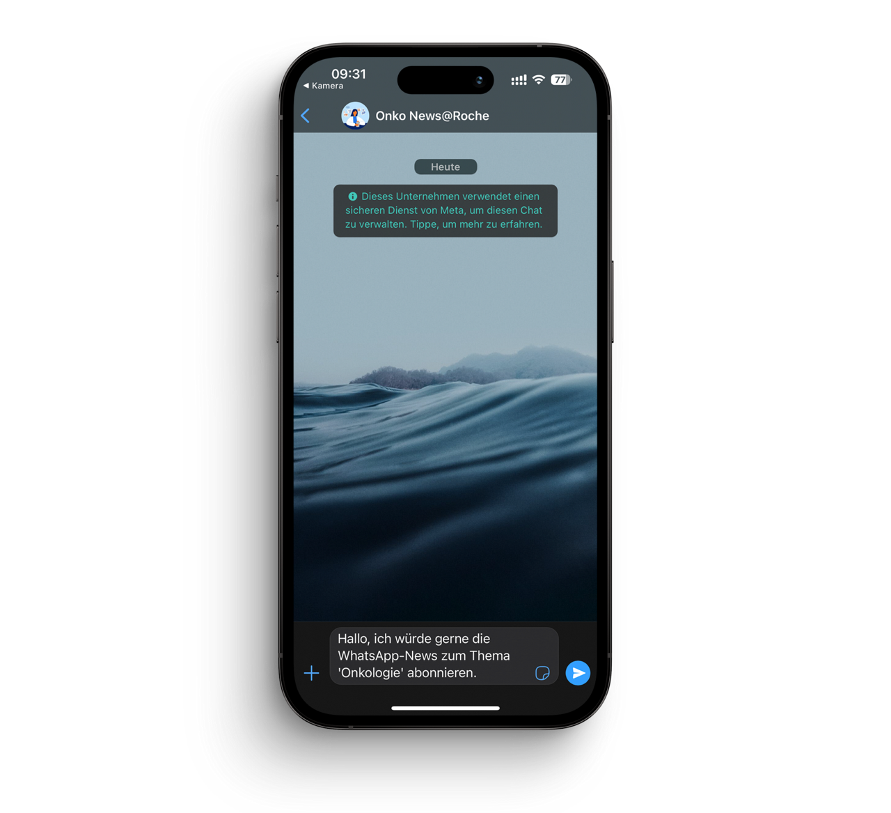 IPhone Screen mit einem WhatsApp Chat
