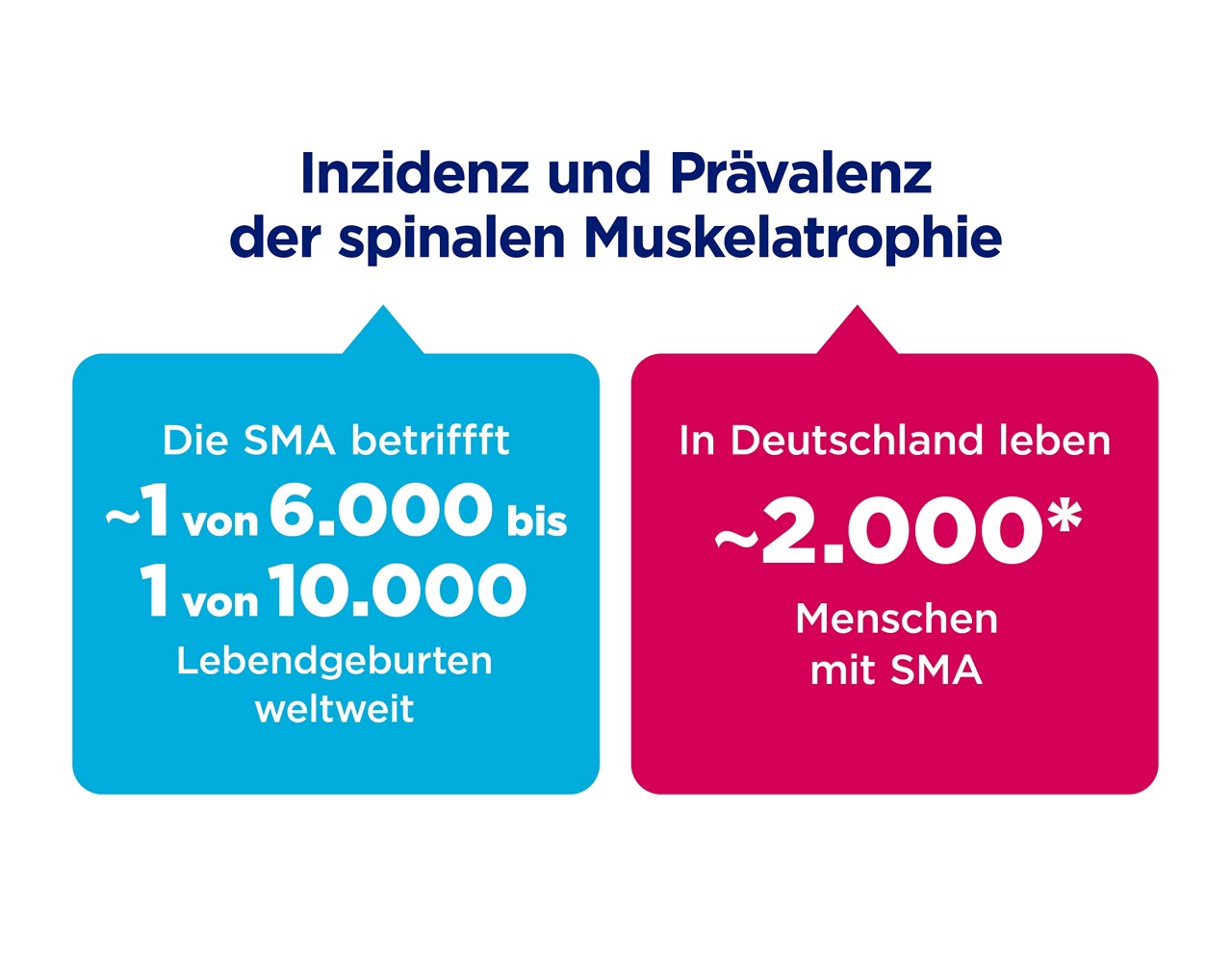 In einem Kasten links steht geschrieben: Die spinale Muskelatrophie betrifft ca. 1 von 6000 bis 10000 Lebendgeburten weltweit. In einem Kasten rechts steht geschrieben: In Deutschland leben ca. 2000 Menschen mit spinaler Muskelatrophie.